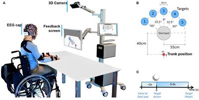 Movement-Related Cortical Potentials in Embodied Virtual Mirror Visual Feedback